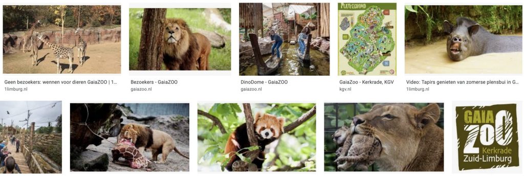 Gaia Zoo dierentuin als cadeau-idee voor je jarige man met mogelijkheden voor mooie fotomomenten