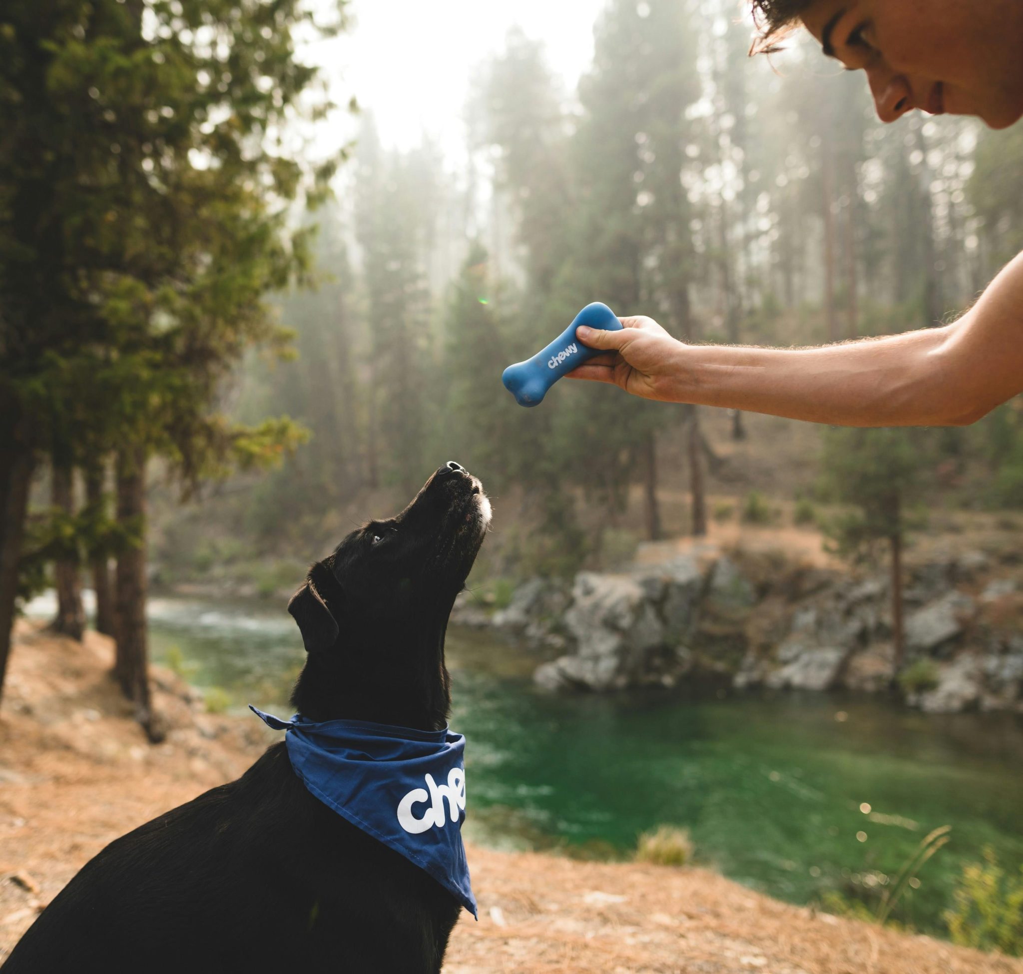 Gebitsreiniger voor honden product van Dierservice Nederland voor optimale tandverzorging en gezondheid