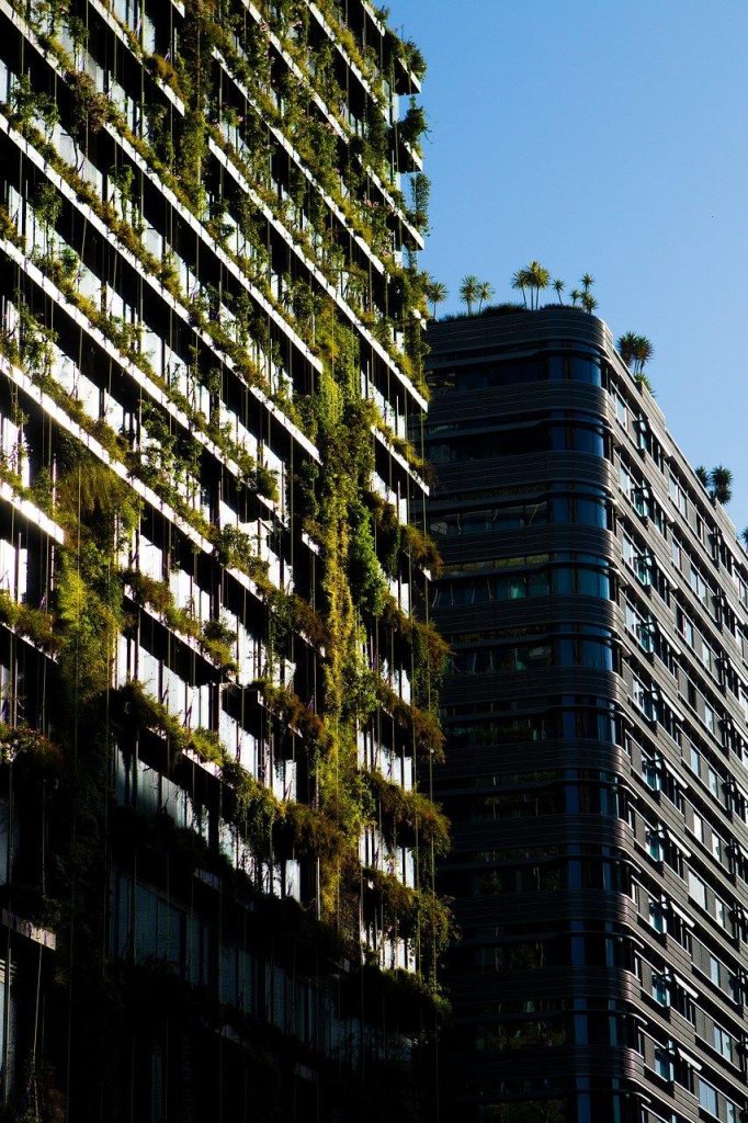 Luxe daktuin met diverse planten, struiken en zithoek op stedelijk dak, illustratie van duurzaam groen in de stad
